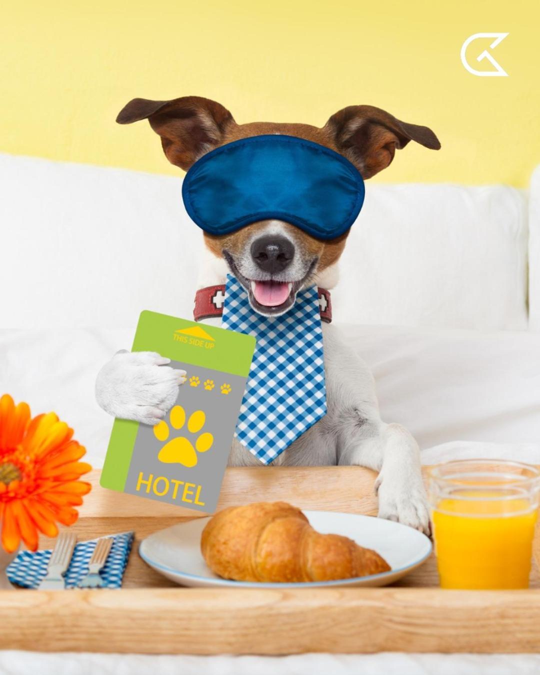 Hotel Golden Tulip President 4*